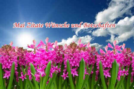 Mai Zitate Wünsche und Botschaften