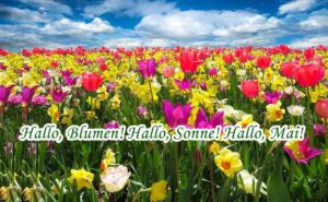 Mai Zitate Wünsche und Botschaften