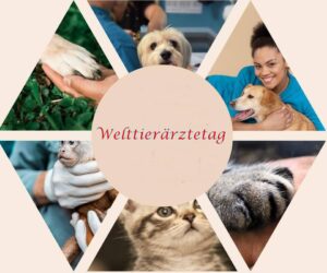 Zitate und Botschaften zum Welttierärztetag