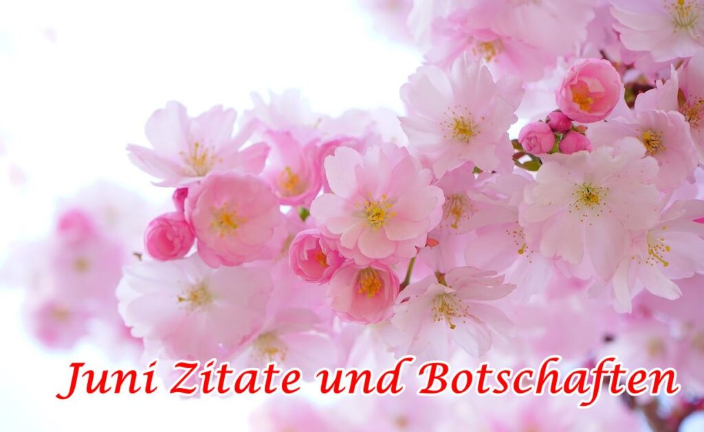 Juni Zitate und Botschaften