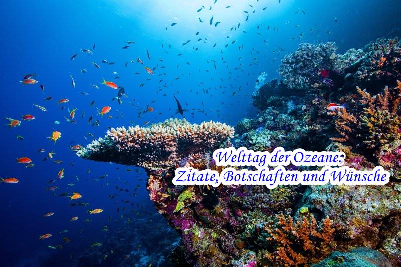 Welttag der Ozeane: Zitate, Botschaften und Wünsche