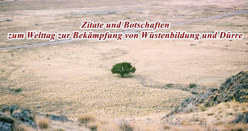 Zitate und Botschaften zum Welttag zur Bekämpfung von Wüstenbildung und Dürre
